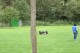 Thumbs/tn_Bild 011.jpg